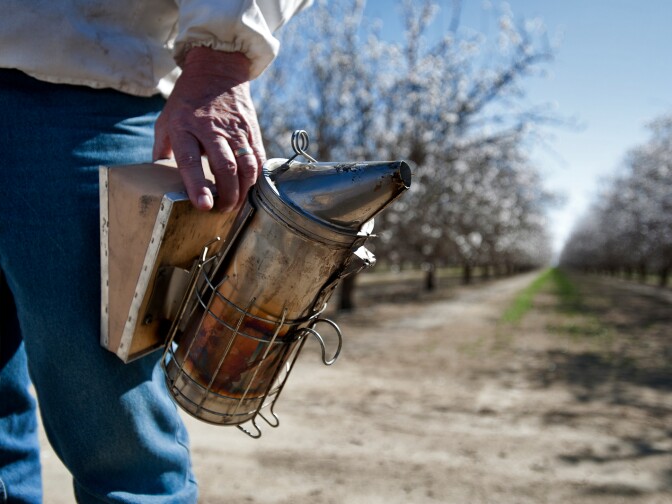Dr. Wardell holds a smoker, which helps to calm honeybees when opening crates that contain colonies. Most of the 92,000 rented bees at Paramount Farms come from more than 15 different states.