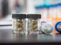 Marijuana samples in different forms in the Cannalysis Laboratory in Santa Ana, California, June 20, 2018. Starting July 1, all marijuana sold in California needs to be tested in a licensed lab.