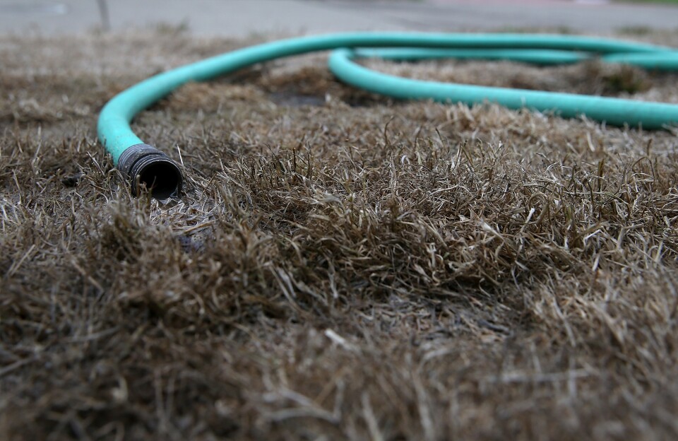 A hose sits on a dead lawn in front of a house on July 15, 2014 in San Francisco, California. As the California drought continues to worsen and voluntary conservation is falling well below the suggested 20 percent, the California Water Resources Control Board is considering a $500 per day fine for residents who waste water on landscaping, hosing down sidewalks and car washing.  (Photo by Justin Sullivan/Getty Images)