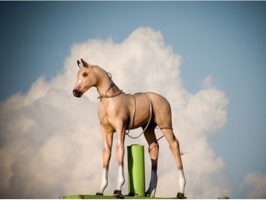 horse_clouds.jpg
