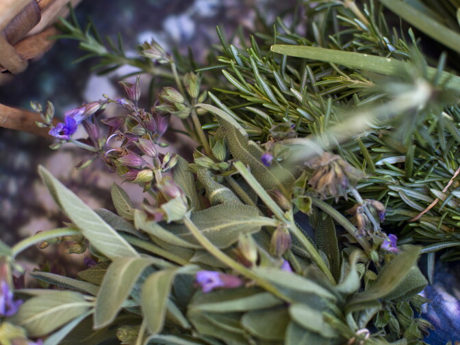 The herbs at the Village Market Place were grown at one of Community Services Unlimited's five mini-urban farm sites.