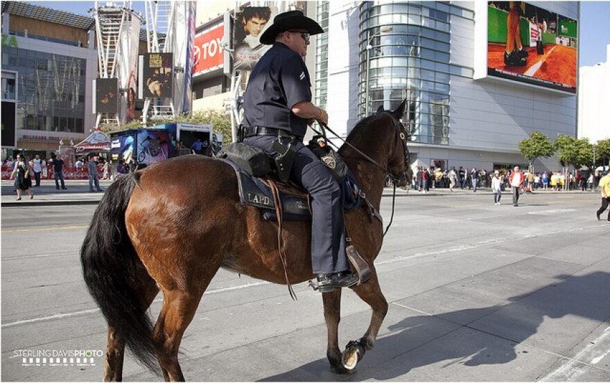 police-horse2.jpg