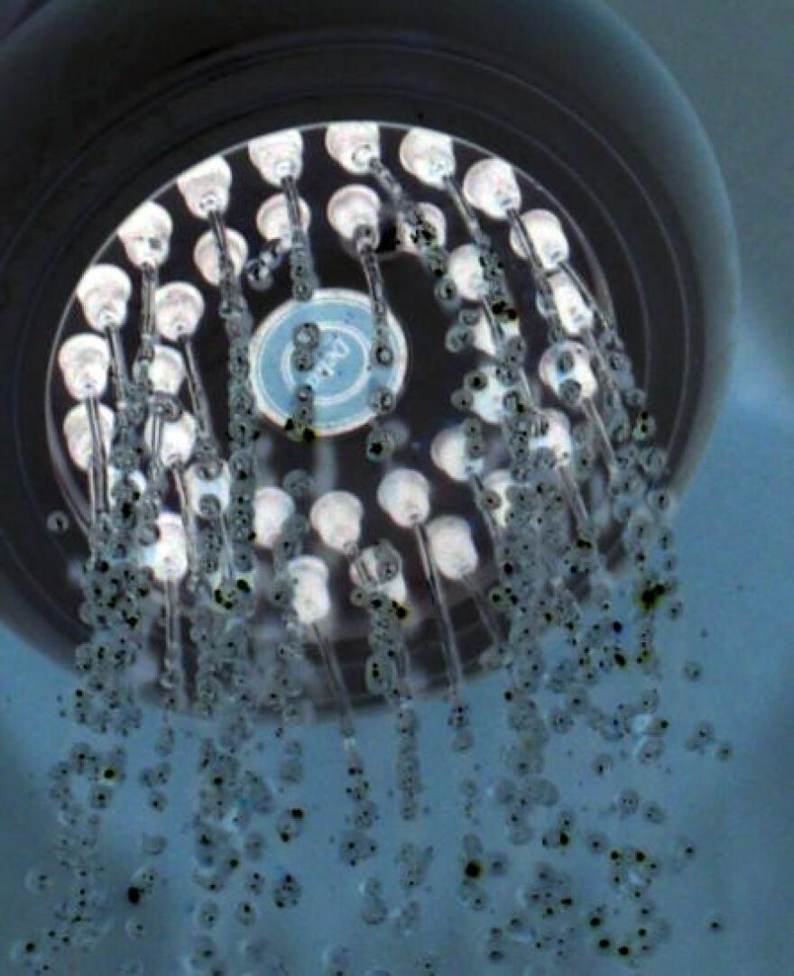California Energy Commission has voted to set the toughest efficiency standards in the country for shower heads.