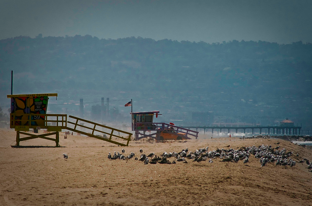 dockweilerstatebeach.png