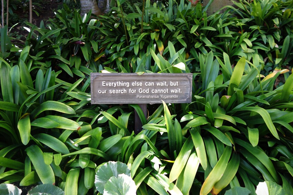 A sign that says, "Everything else can wait, but our search for God cannot wait. Paramahansa Yogananda"
