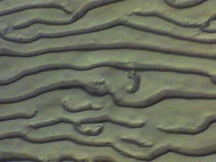 5b2c3d724488b30009274b28-original.jpg