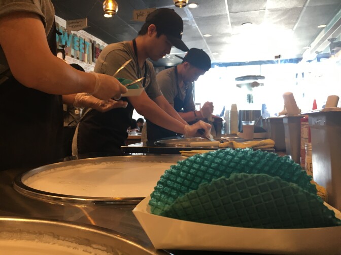 A lone shell watches over Sweet Cup