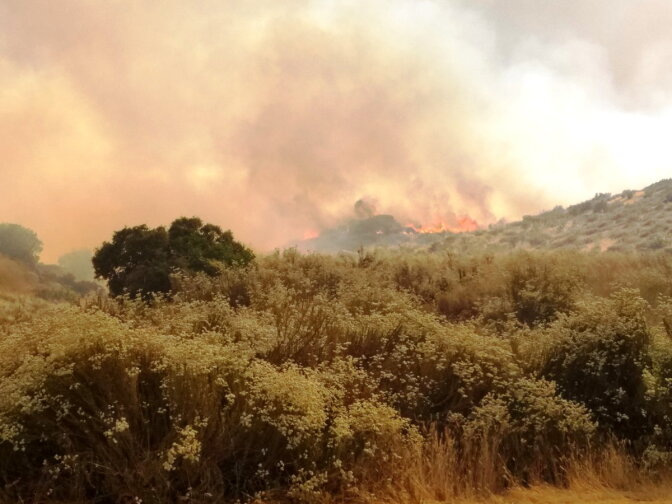 The Manzanita Fire, as seen on Monday, June 26, 2017.