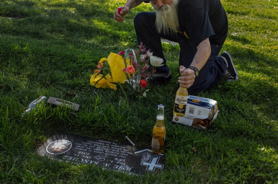 A man with a gray beard places a bottle of beer on a gravestone in a grassy field.