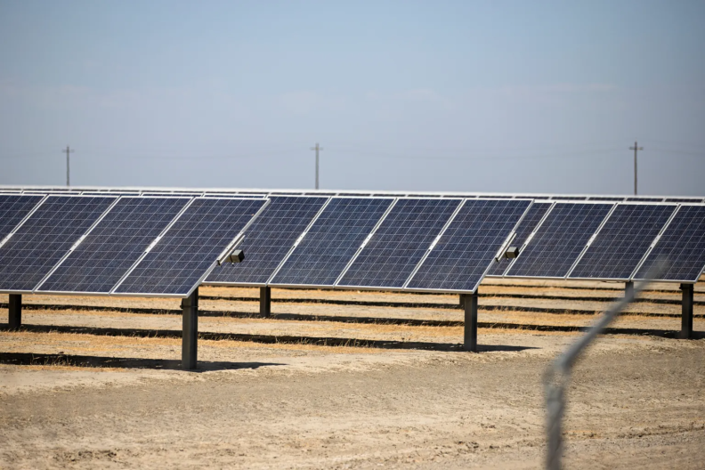 Rows of solar panels are shown outside on a sunny day.