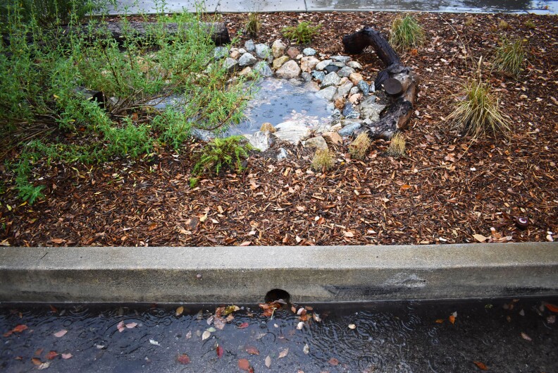 A street curb with mulch and plants.