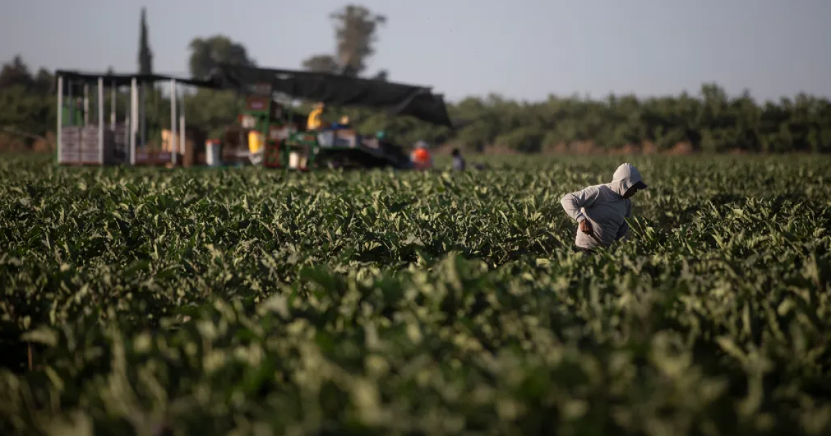 California court tosses Wonderful Company lawsuit over farmworker unionization law