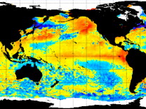 Screenshot taken of a NOAA website shows ocean temperature variations on June 11, 2015. 
