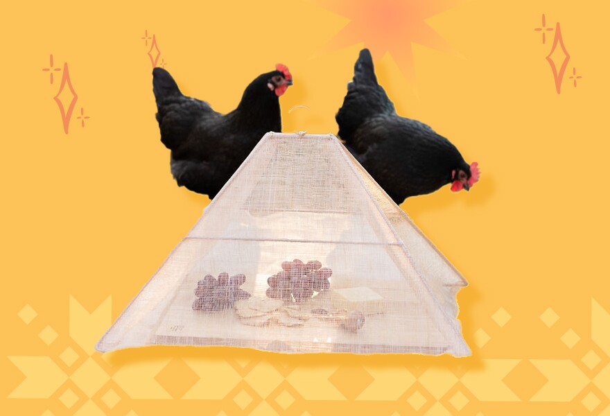 Two black roosters perch near a food tent covering grapes