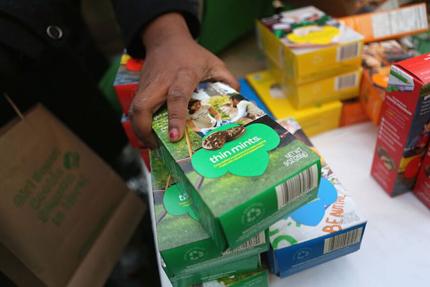 girlscouts_640.jpg