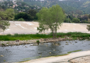 A trek around Atwater Village