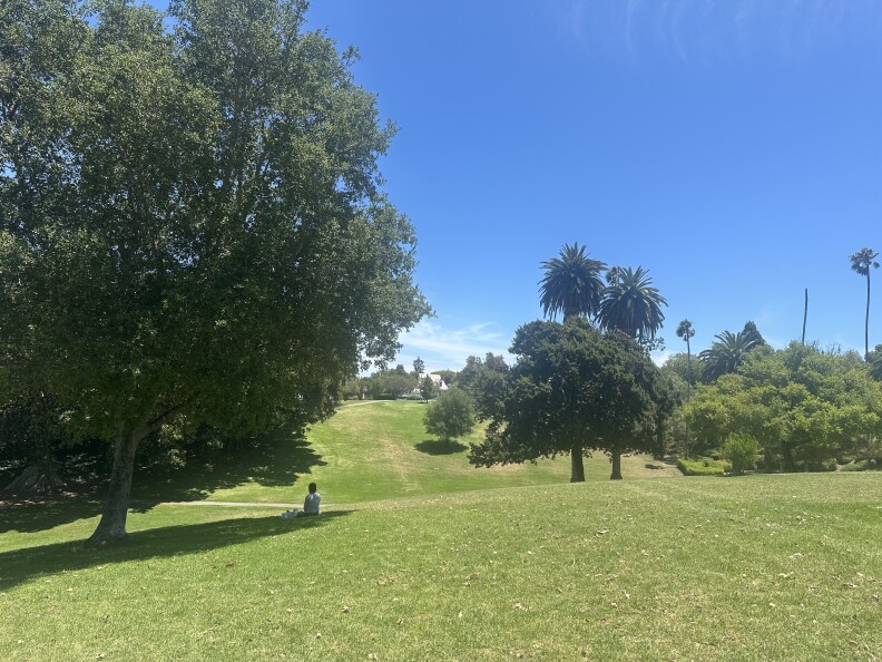 A grassy, hilly park with dark green trees and a person sitting in the shade of a tree.