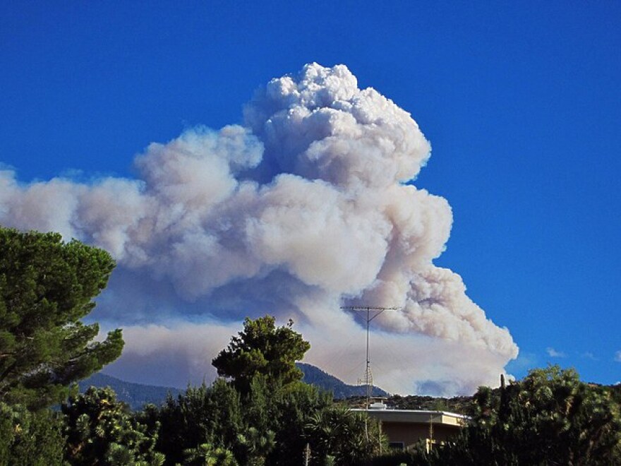 williamsfire.jpg