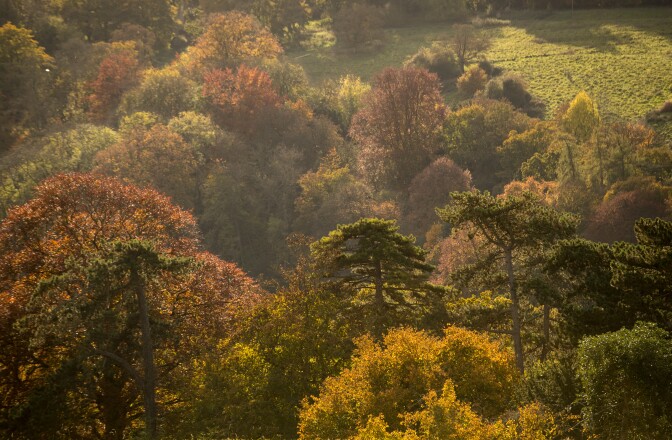 Trees surrounding the historic city of Bath display their autumn colors on November 2, 2016 in Bath, England.