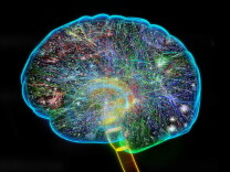 An illustration of connections in a human brain.