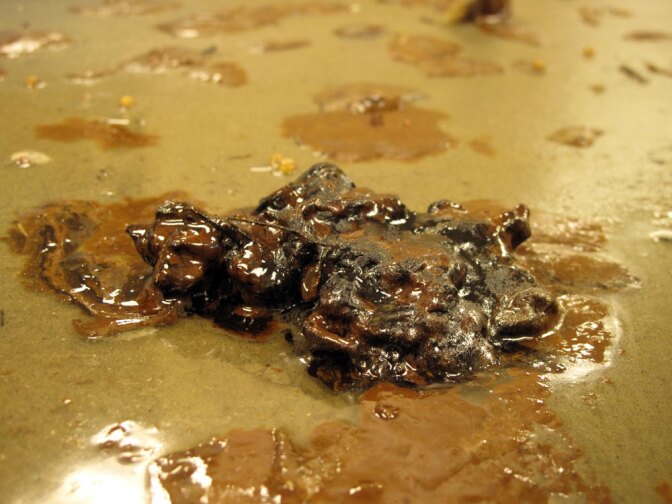 Tarballs have been landing on beaches in Louisiana, Alabama and Mississippi. Louisiana state biologists recovered this one from Elmer's Island. The tarballs are like sticky gobs of melted candy.