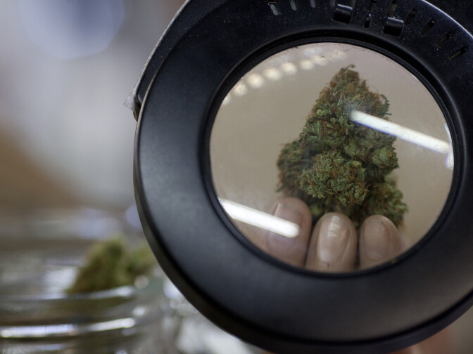 The California Heritage Market held the first-ever medical marijuana farmers market in Boyle Heights. The goal of the event was to connect producers with patients. The collective expects to host the farmers market each weekend.