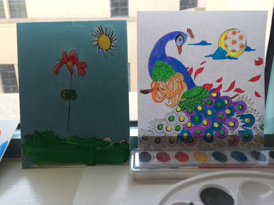 Rosanna said she has never painted before. Since coming to the hospital, she and her son have both made art using watercolors and acrylics. 