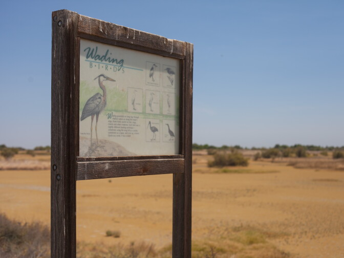 An interpretive sign at the Kern National Wildlife Refuge on Tuesday, Sept. 1, 2015. In years past, the area would already be a wetland after mid-August when water is added to create a habitat that attracts birds and wildlife. However, this year the water allotment has been reduced and the annual flood-up has been delayed. 