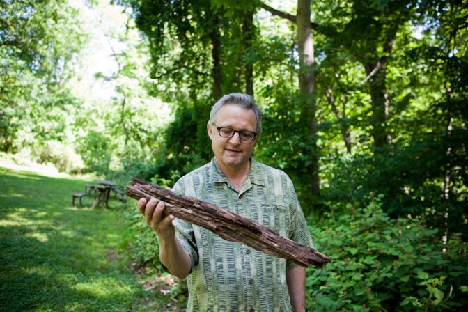 Joe Palca scoured the forest for firewood. But will it burn?