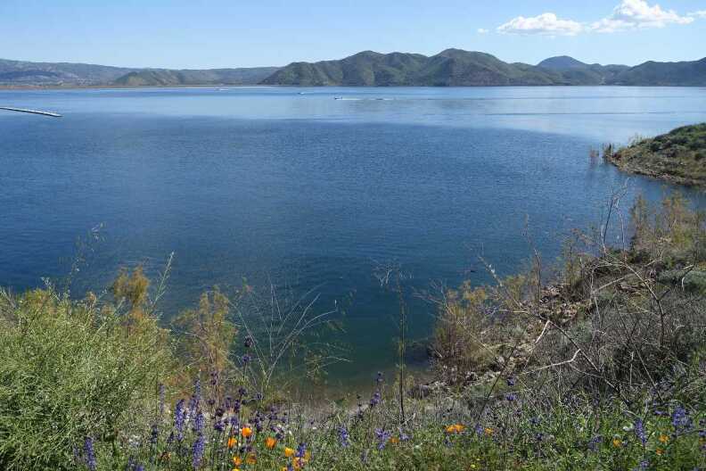 Wildflowers can be seen in the foreground with Diamond Valley Lake in the background.