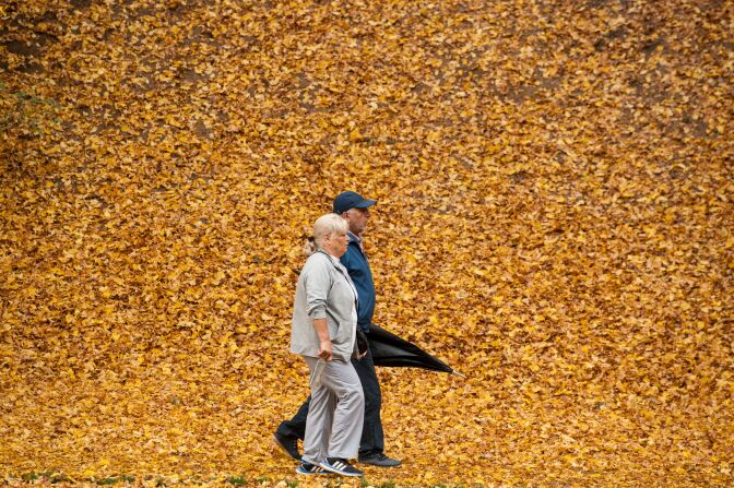 A couple hold hands as they walk through a park, covered of fallen yellow leaves, near Pristina, Kosovo on October 23, 2017.