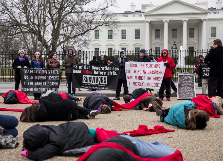WASHINGTON, DC - JANUARY 21: Anti-abortion advocates stage a 'die-in' protest at Lafayette Square near the White House January 21, 2015 in Washington, DC. In a written statement on Tuesday, the Obama administration denounced a GOP-backed bill that would ban abortions after 20 weeks and suggested the President would veto H. R. 36 - Pain-Capable Unborn Child Protection Act if the bill reached his desk. (Photo by Drew Angerer/Getty Images)