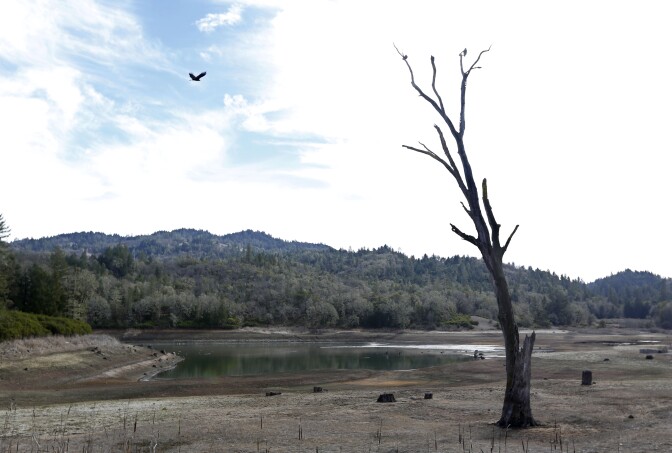 In this photo taken Tuesday, Feb. 4, 2014, is the Centennial Reservoir, one of the two water sources for the city of Willits, Calif. In the midst of a historic drought, the reservoir is only one-third full, forcing Willits city leaders to ban lawn watering, car washing, and mandated all residents to cut water use.(AP Photo/Rich Pedroncelli)