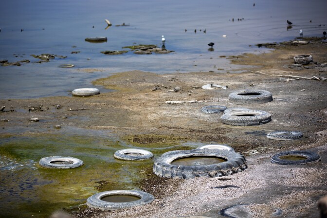 Tires line the edge of the Salton Sea where seagulls and California brown pelicans spend their time.
