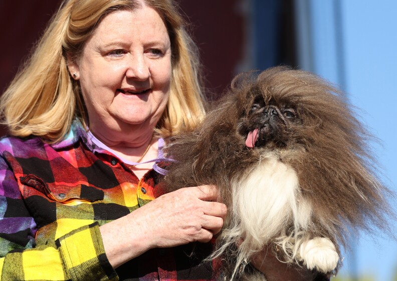 A woman holding a fluffy dog with its tongue sticking out.