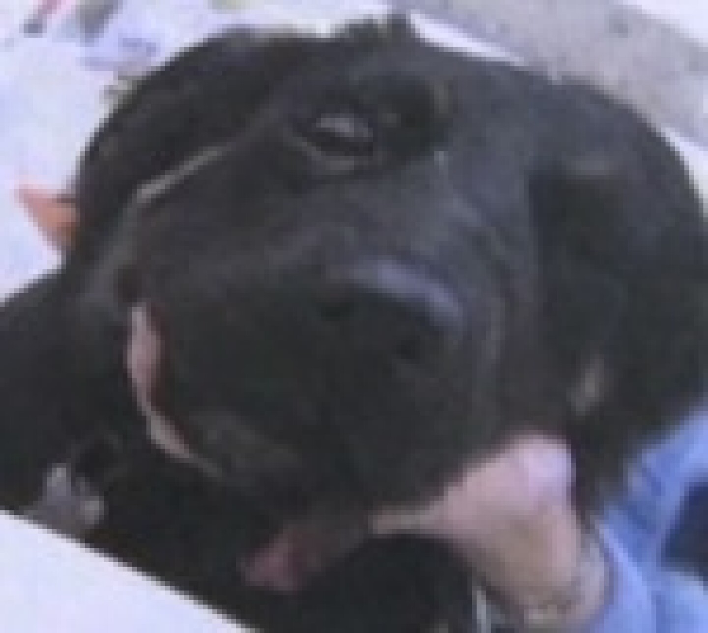 dogbeaten_lacounty_fire2.jpg