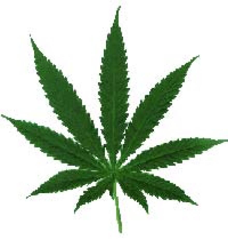 marijuana-leaf-green.jpg