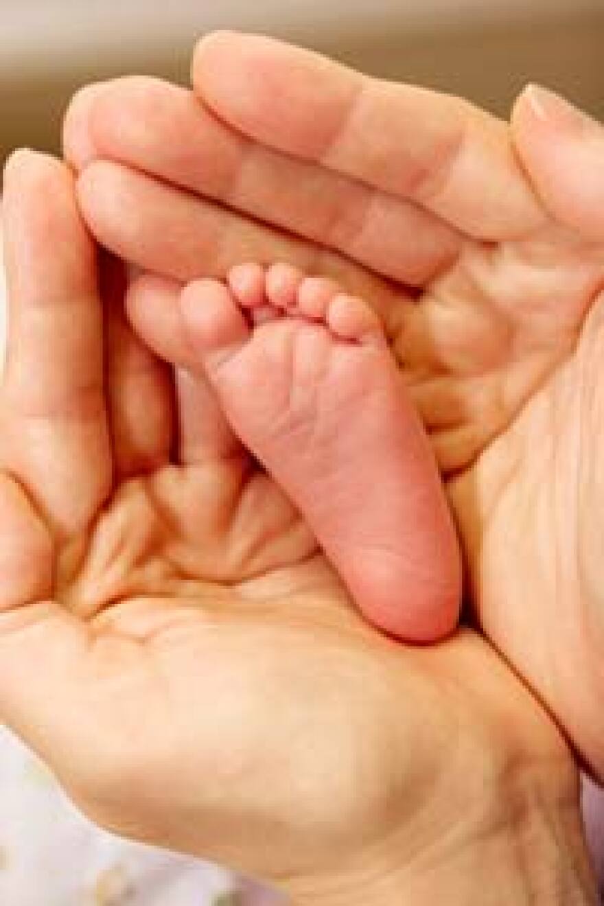 Nadya Suleman is a single mom with 6 other kids who gave birth to octuplets in California January 26th
