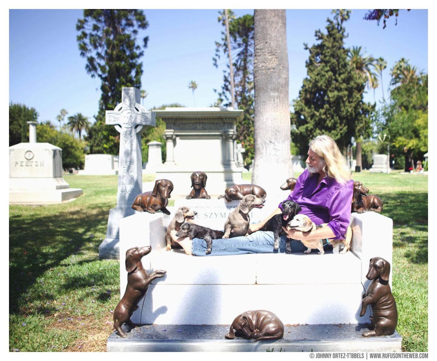 Dachshunds at Hollywood forever