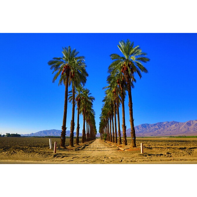 Oasis, California.