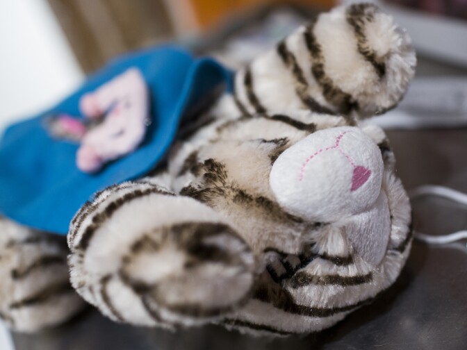 Museum-goers can take part in an interactive activity learning how to sterilize a cat using a stuffed animal as part of the “Crazy Cat Ladies” exhibit at The Animal Museum in the Arts District on Monday, Nov. 14, 2016.