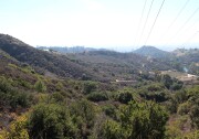 Undeveloped land to the west of Griffith Park may receive new trails if the Los Angeles Department of Water and Power agrees to lease the property to the Los Angeles City Department of Recreation and Parks. The land is considered to be a vital wildlife corridor into the Santa Monica Mountains.