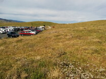 The south-facing slopes are unexpectedly devoid of orange. 
