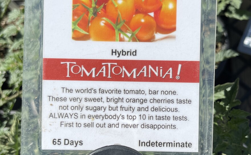 A sign saying this is the world's favorite tomato.