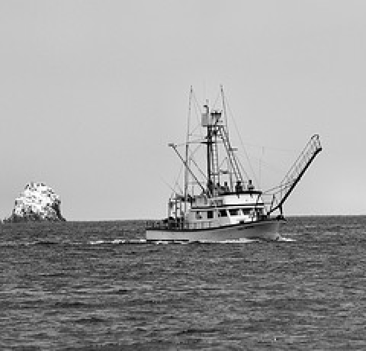 5b2c5f454488b3000928257f-original.jpg