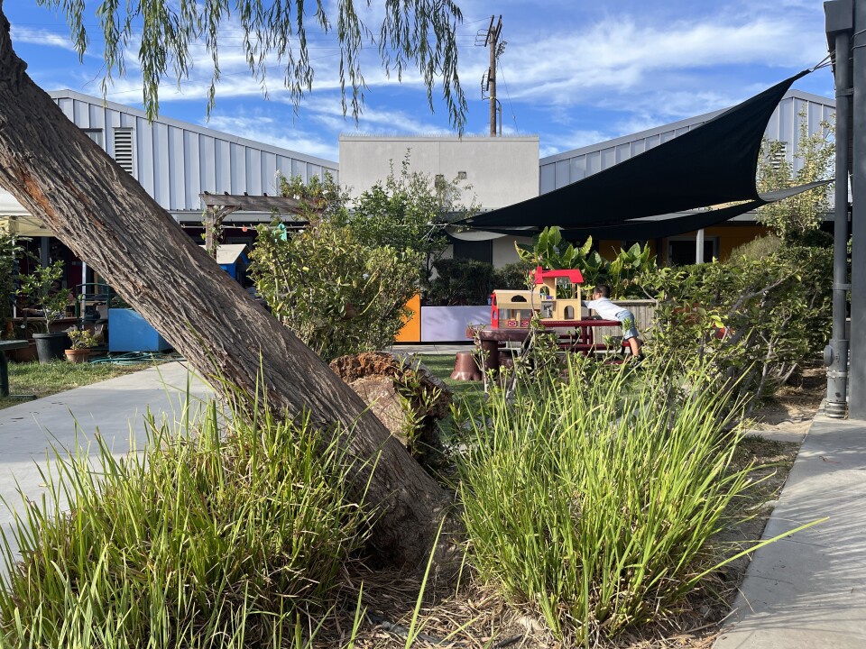 A child in the background plays with a dollhouse in an expansive outdoor preschool play space with trees and a shade canopies. 