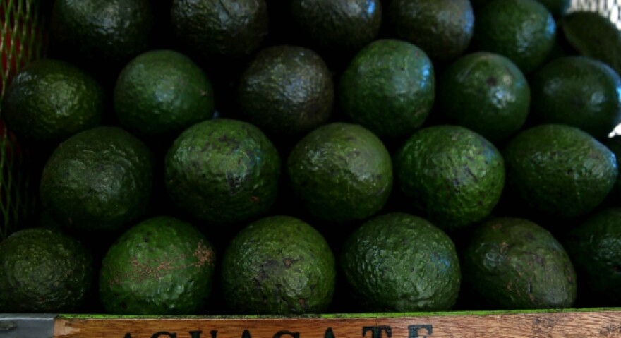 Avocado_Heist_MainAsset.jpg
