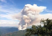 The Saddle Fire began in the Shasta-Trinity National Forest on Tuesday, after numerous lightning strikes hit the forest. 