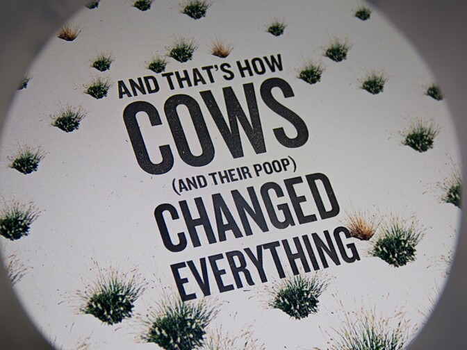 Museum patrons can look through a tube to watch a video that explains how cows (and their poop) helped to change L.A.'s natural environment.