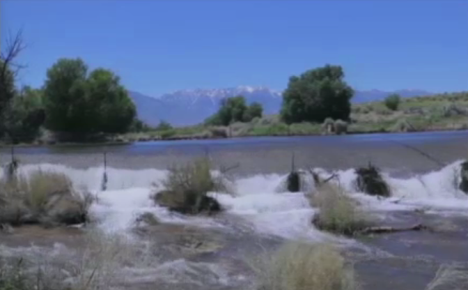 The Owens River flooding in June 2017 at the peak of the Sierra snowmelt.